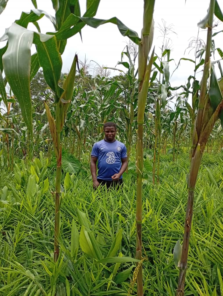 David Daniel Ezekiel